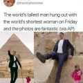 The Best Pics:  Position 15 in  - Giant, dwarf, human, man, woman, tall, small