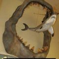 The Best Pics:  Position 20 in  - Great white shark, teeth, jaws, prehistoric times
