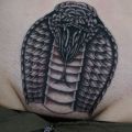 Die besten Bilder in der Kategorie intim_tattoos: Cobra, Tattoo, intim, Schlange