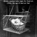 The Best Pics:  Position 30 in  - 1930, window, cage, baby, children, fresh air
