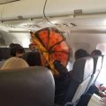 The Best Pics:  Position 14 in  - Hairstyles, butterfly, punk, plane, mohawk
