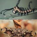 The Best Pics:  Position 5 in  - Bahmin, Metamorphosis, insect