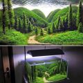 The Best Pics:  Position 8 in  - Aquarium, mountains, fish, valley, landscape, trees, forest