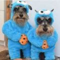 The Best Pics:  Position 7 in  - Dogs, Disguise, Costume, Monsters