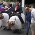 The Best Pics:  Position 6 in  - Disguise, costume, sheep, horseback riding, optical illusion