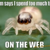 Mom says I spend to much time on the web