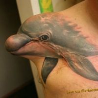 Amputated Arm Dolphin Tattoo