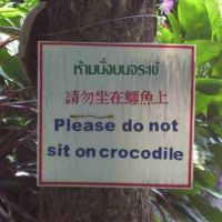 Please do not sit on Crocodiles