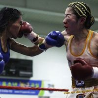 Beautiful Boxing Girls