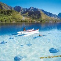 Wunderschöne Natur - Stachelrochen in Kristallklarem Wasser