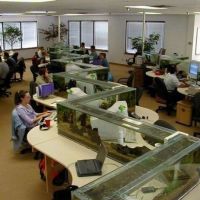 Aquarium Büro