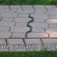 Snake calibration complete