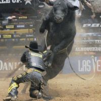 Bull Riding