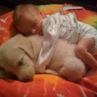 Cutest Pic Ever - Dog Baby Human Baby