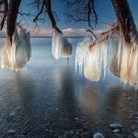 Eis-Formationen an Baum