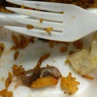 Reis mit Fleisch-Beilage - Mäuse-Baby im Essen