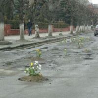 Das schönste daraus gemacht - Blumen-Schlaglöcher-Straße