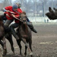 Russian Way to ride - Hund fliegt durch die Luft