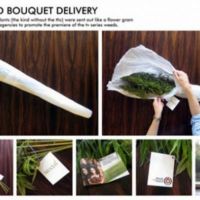 The Weed Bouquet Delivery - Weed, Joint, Present