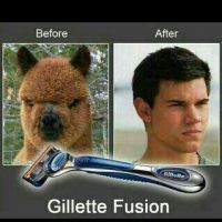 Gillette, Fusion, Rasur