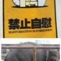 Masturbation, Schild, Elefant, Rüssel