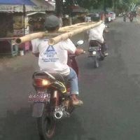 The Best Pics:  Position 1 in  - transport, ladder, Occupational safety, moped, motorcycle, head, dangerous