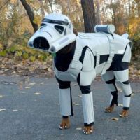 Hunde, Verkleidung, Star Wars, Stormtrooper