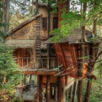 Herr der Ringe, Märchen, Baumhaus, Wald, gemütlich