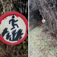 zombie, Schild, Wald, Weg