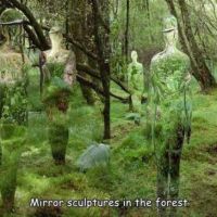 Spiegel, Wald, Kunst, Skulpturen, Ausserirdische