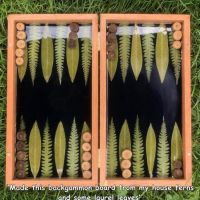 The Best Pics:  Position 1 in  - Backgammon, board game, fern, homemade, DIY