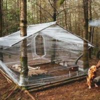 The Best Pics:  Position 1 in  - Forest, house, tent, ingenious, easy, fast